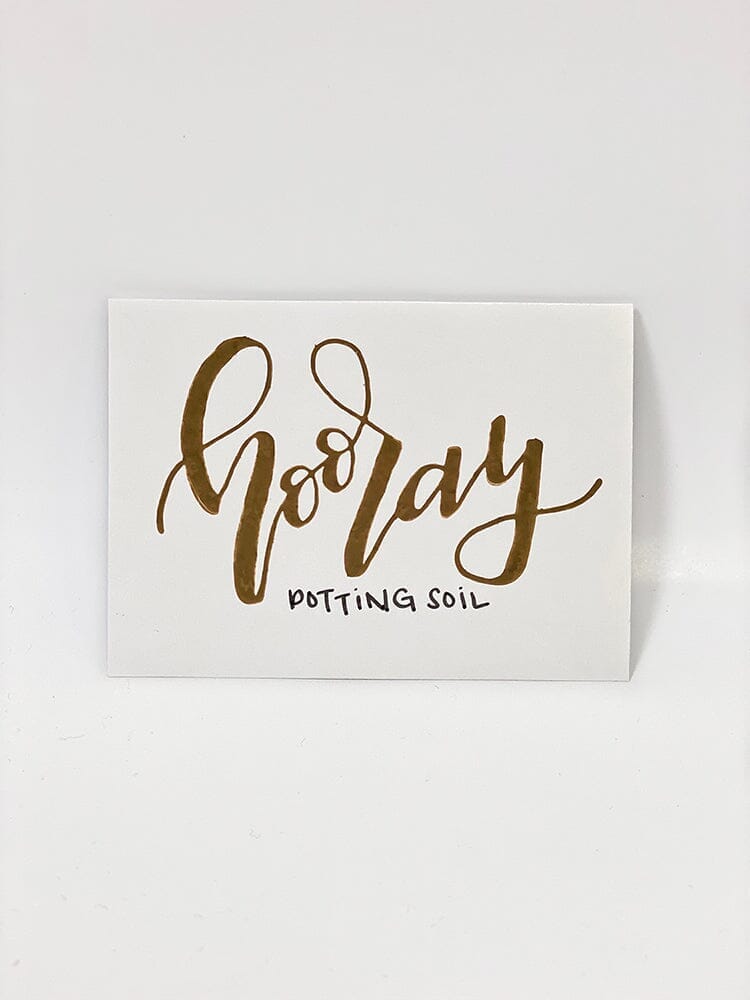 Wendy Vecchi Archival Ink™ Pad Potting Soil Ink Pad Wendy Vecchi 